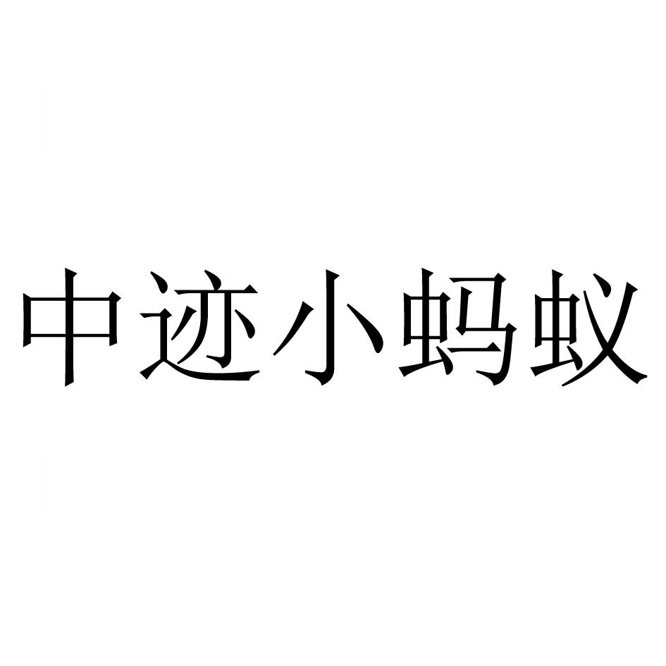 中迹小蚂蚁