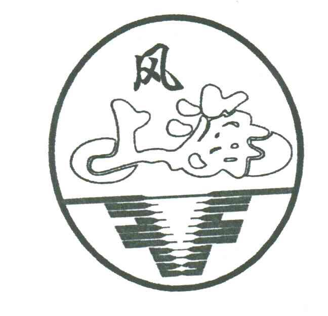 风上海