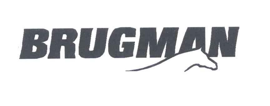BRUGMAN