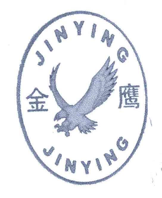 金鹰
