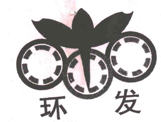 环发