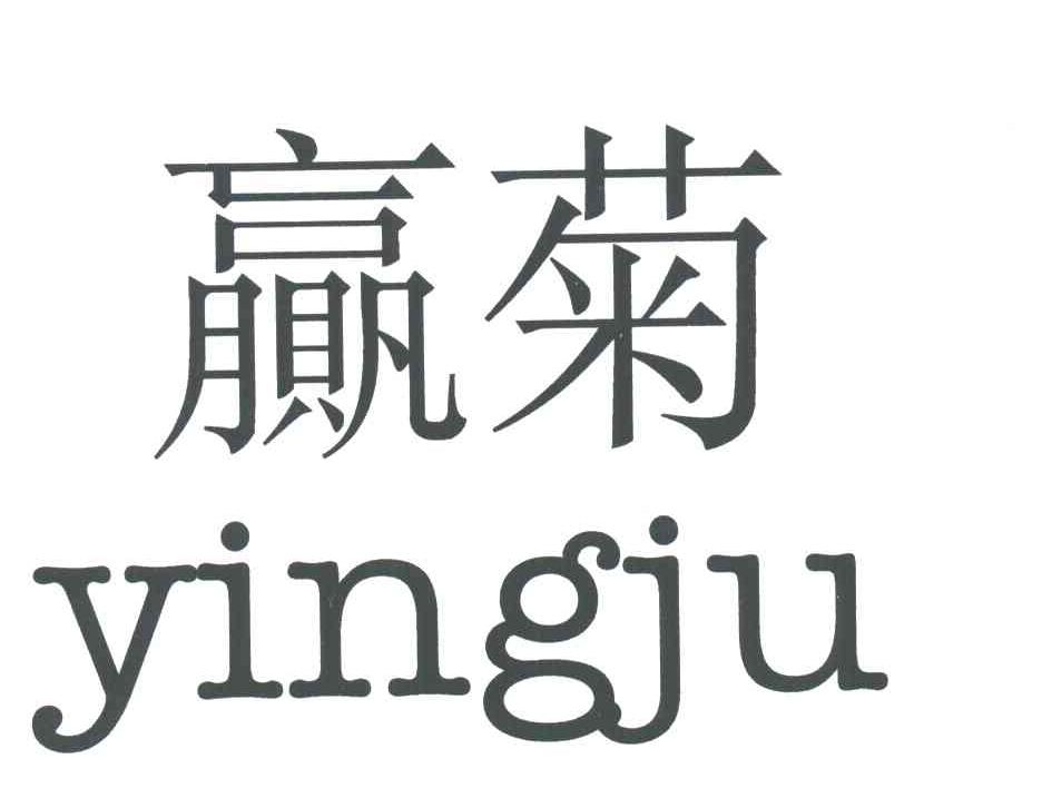 赢菊