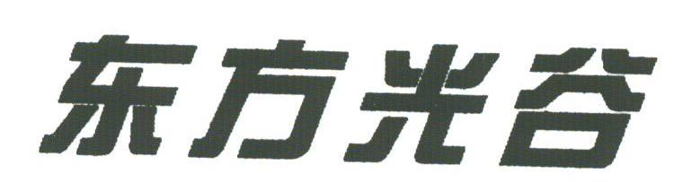 东方光谷
