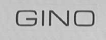 GINO