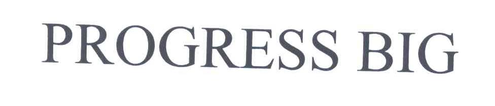 PROGRESS BIG