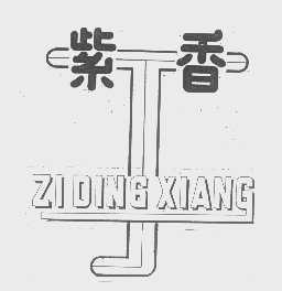 紫丁香