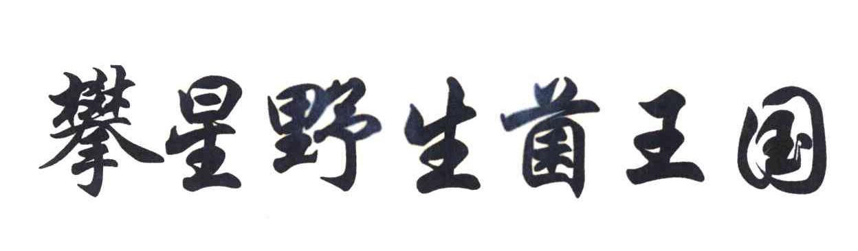 攀星野生菌王国