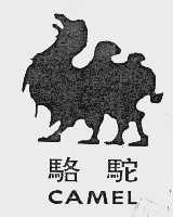 骆驼;CAMEL