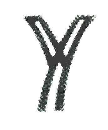 Y