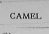 CAMEL