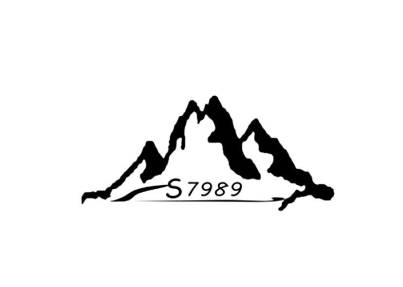 7989 LS
