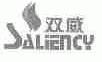 双威;SALIENCY