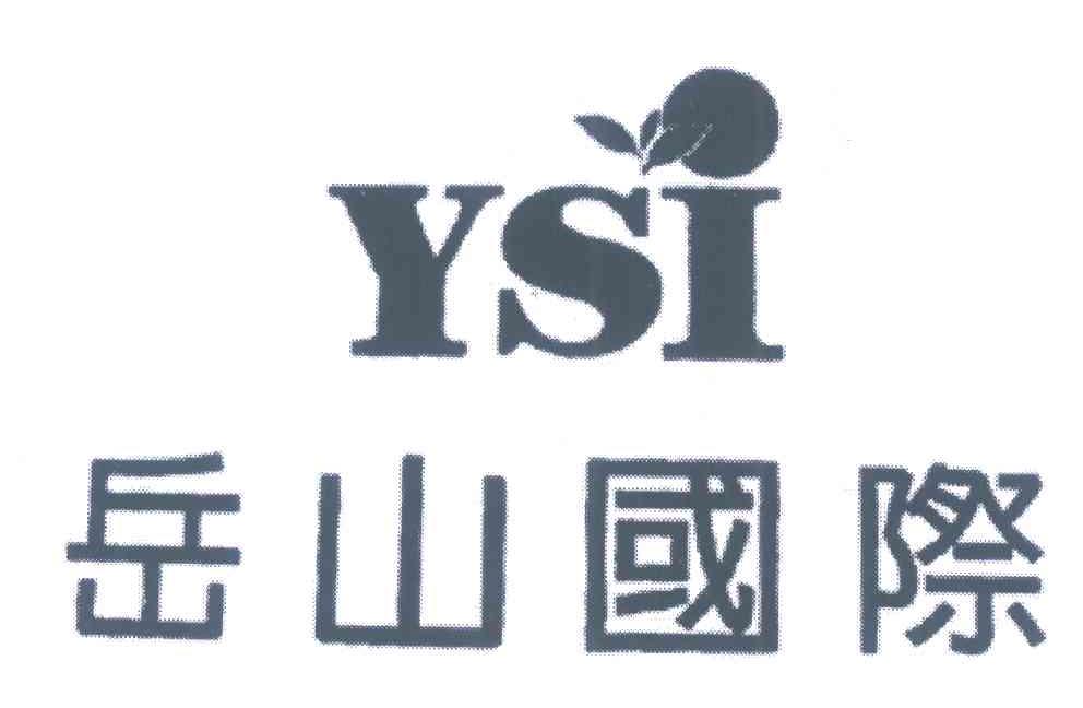 岳山国际 YSI