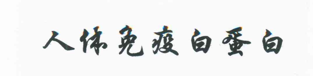 人体免疫白蛋白
