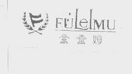 富雷姆