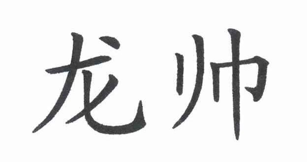 龙帅