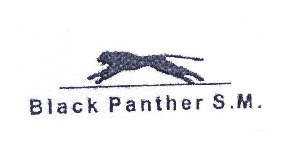 BLACK PANTHER S.M.