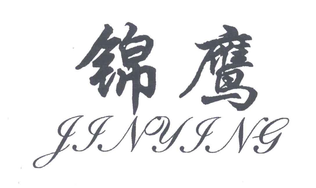 锦鹰