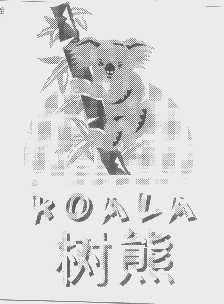 树熊   KOALA