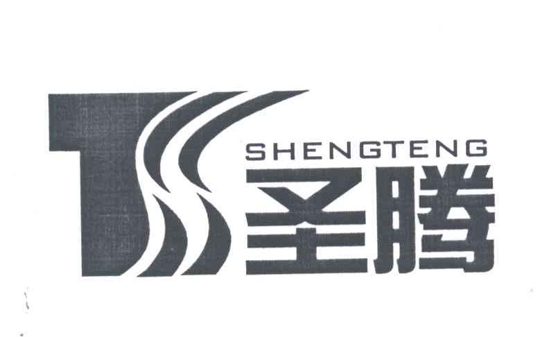 圣腾;TS