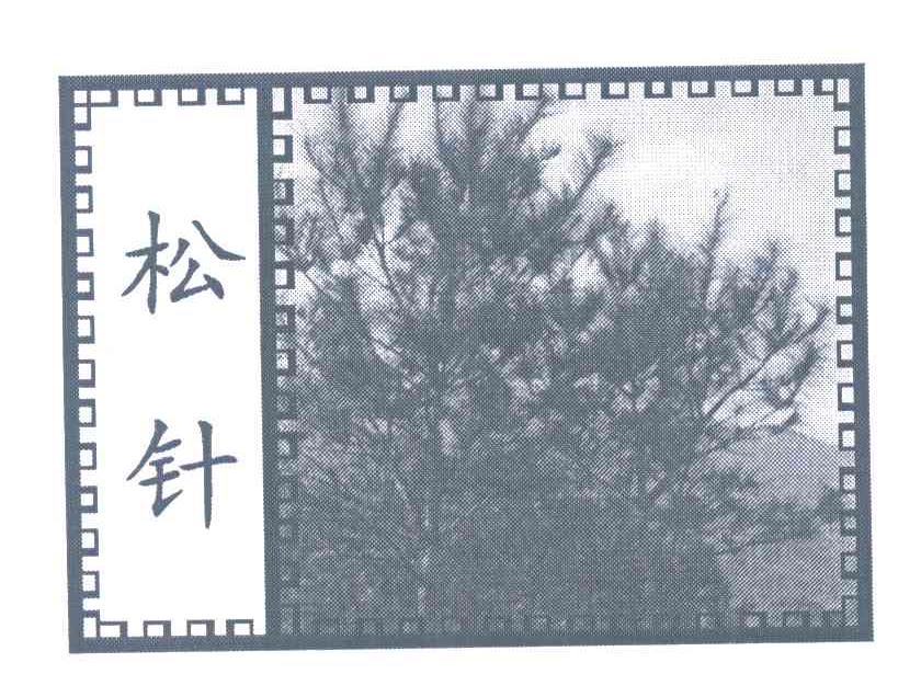松针