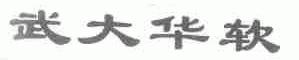 武大华软