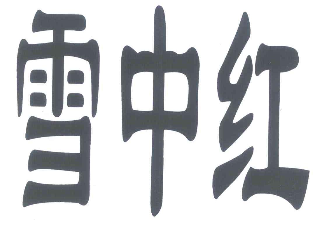 雪中红