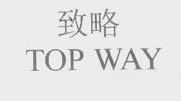 致略   TOP WAY