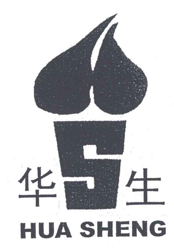S;华生