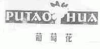 葡萄花
