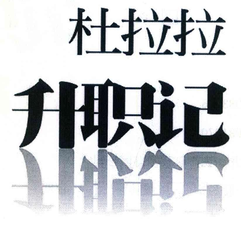 杜拉拉升职记