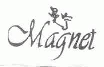 曼宁;MAGNET
