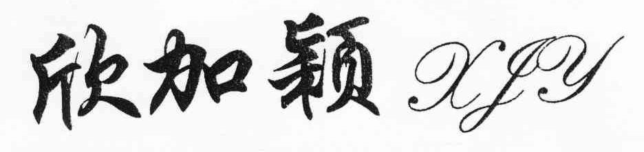 欣加颖 XJY
