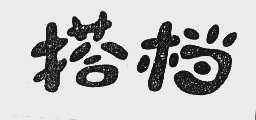 搭档