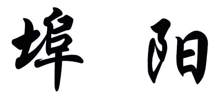 埠阳