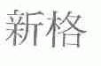 新格