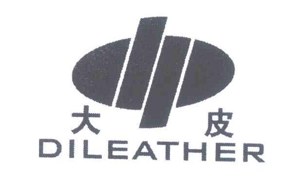 大皮 DILEATHER