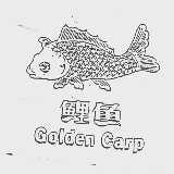 鲤鱼  GOLDEN CARP