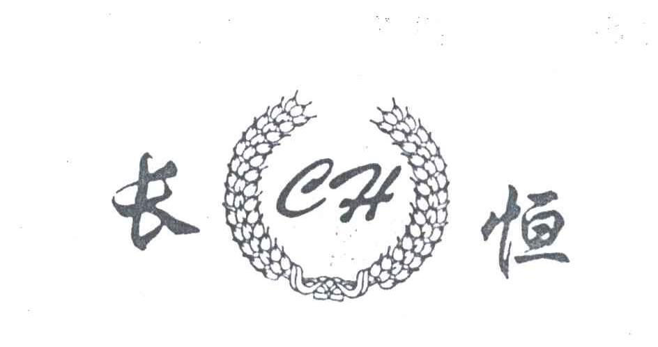长恒;CH