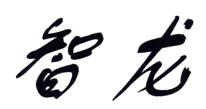 智龙
