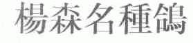 杨森名种鸽