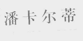 潘卡尔蒂