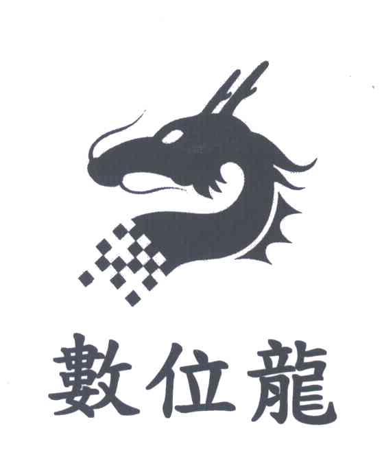 数位龙