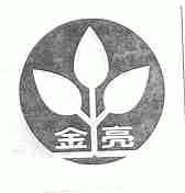 金亮