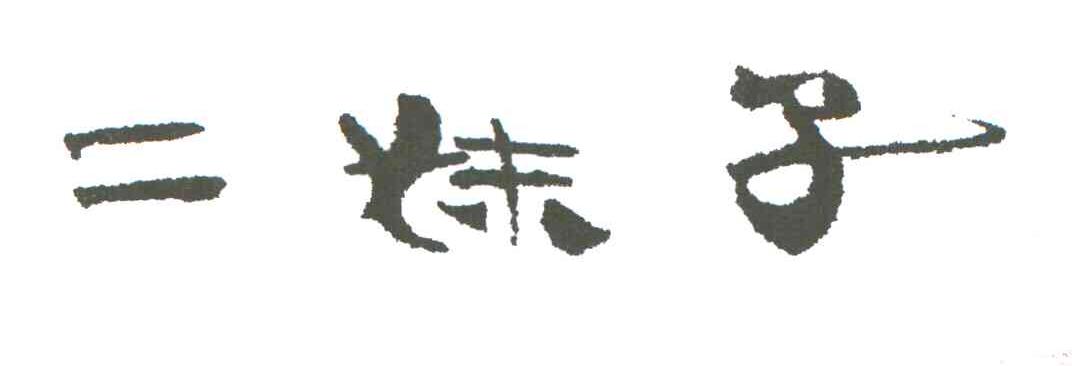 二妹子
