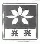 兴兴