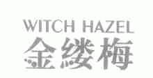 金缕梅;WITCH HAZEL