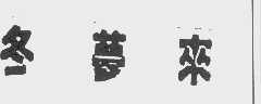 冬梦来