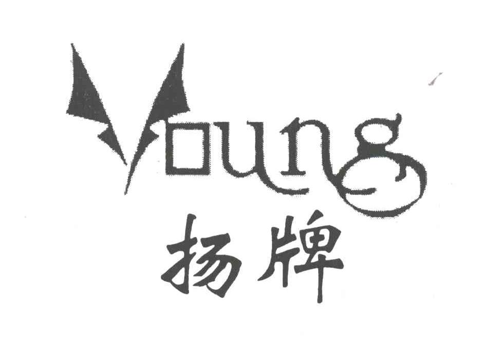 扬牌;YOUNG;Y