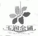 玉润金通